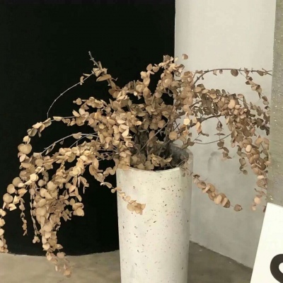 Furry插画创意构思思路FurryQQ群